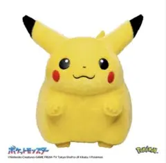 ポケモン30周年記念おかえり!ピカチュウ1/1 新品未使用