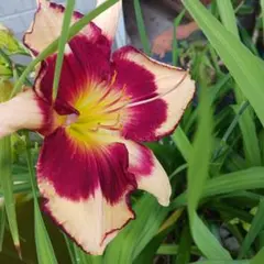 Hirokazu  Ohno様 リクエスト 2点 まとめ商品