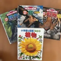 小学館の図鑑　学研の図鑑　4冊