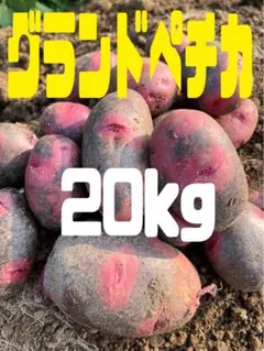 じゃがいもグランドペチカ20kg じゃがいも グラウンドぺチカ 20キロ - メルカリ