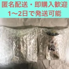 ルフィズ LUFFY's Vol.2 luffys 冒険の記憶　①