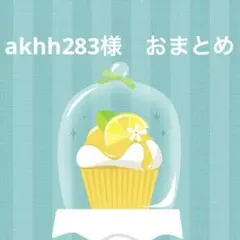 akhh283様 リクエスト 2点 まとめ商品