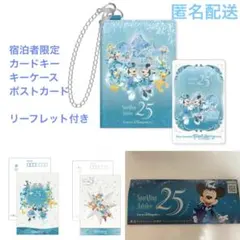ファンタジースプリングスホテル宿泊者限定 カードキーキーチェーン