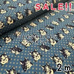 ★SALE★シーチング キャット&ドットプリントcol.アッシュブルー 2m