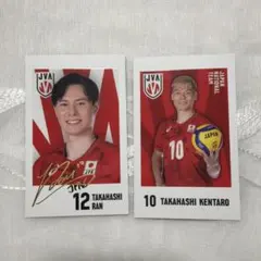 男子バレーボール日本代表 キャラポトレ