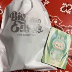 【正規品】LABUBU ラブブ BigintoEnergy SERENITY