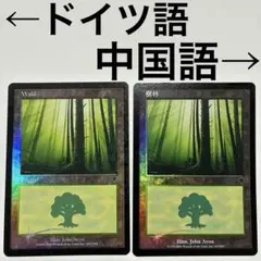 mtg インベイジョン たわむか折れるか foil 中国語版 繁体字 - メルカリ