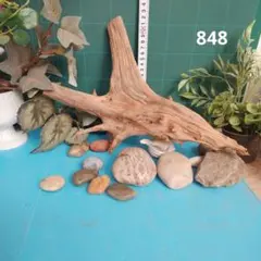 2026年最新】ホーンウッドの人気アイテム - メルカリ