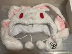 【20日まで】汎用うさぎ デュアルペンポーチ 白 チャックスGP 汎用うさぎ デュアルペンポーチ 汎用ホワイト（ペン