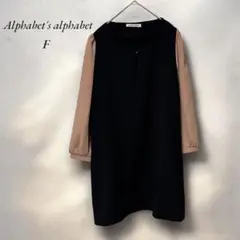 《アルファベッツアルファベット》美品チュニック F 黒×ベージュ　薄手軽量上品