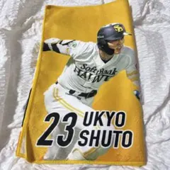 ソフトバンクホークスクライマックス応援グッズ