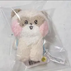 ハニニ zb1 zeroni メッセージ ぬいぐるみキーリング zhanghao - メルカリ