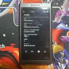 ジャンク】SONY NW-ZX507 ロック解除不可 - メルカリ