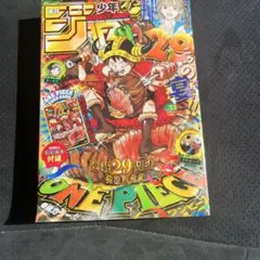 ワンピースカード 応募者全員サービス 2025年週刊少年ジャンプ19号 3