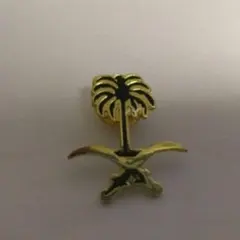 2026年最新】サウジアラビアピンバッジの人気アイテム - メルカリ