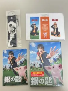 銀の匙 silverspoon 初回生産限定版 中島健人 SexyZone
