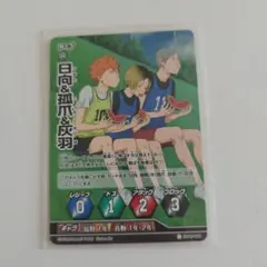 日向翔陽 孤爪研磨 灰羽リエーフ バボカ 【ハイキュー】