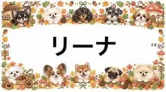 専用
