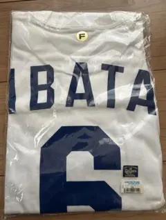 中日ドラゴンズ IBATA 6 Tシャツ フリーサイズ