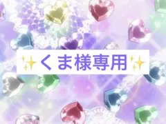 くま様専用✩.*˚プリズムストーン