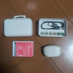 SONY WF-1000XM5 ワイヤレスイヤホン プラチナシルバー (白)