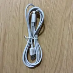 Lightningケーブル ホワイト 本体