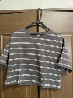 チャコール　マルチボーダー　 半袖Tシャツ F