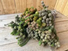 SAI様 リクエスト 3点 まとめ商品