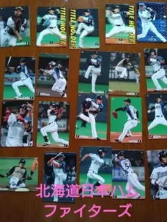 カルビープロ野球チップス カード 2013年、2014年ファイターズ