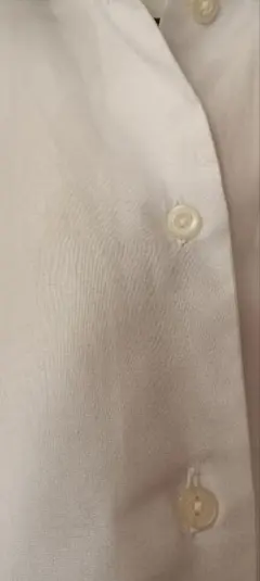 Item thumbnail for item 79f4a314-cbae-407e-bd70-79e6d2361ce3