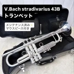 2026年最新】Bach トランペット本体の人気アイテム - メルカリ