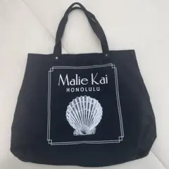 Item thumbnail for item a1e7b671-384f-461c-af35-6a8229574453