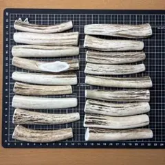 No.2309『鹿角59本セット』鹿の角 エゾ鹿 鹿角 蝦夷鹿 エゾシカ - メルカリ
