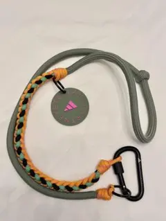 Item thumbnail for item 0caeb169-1c71-4841-8d62-a600e4443e74