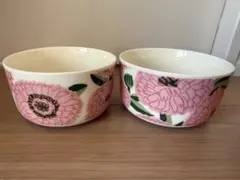 Item thumbnail for item beda3048-82b4-4138-a921-01bb4b54b2e1