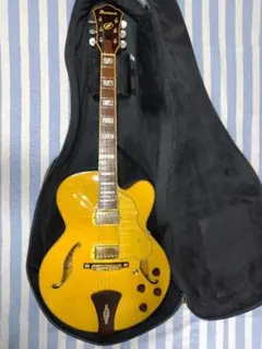 2026年最新】Ibanez AF105の人気アイテム - メルカリ