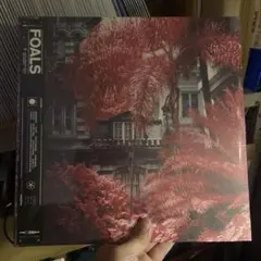 Lostage さよならポエジー スプリットcd - メルカリ