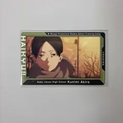 ハイキュー！！ 国見英 カード