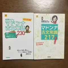 マドンナ古文単語230 常識217 2冊セット