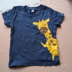 Item thumbnail for item fa64082a-fe7e-402c-81e3-14f13f9bb318