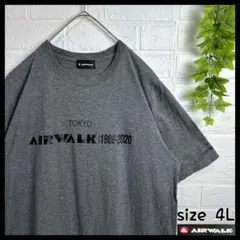 AIRWALK エアウォーク 1986-2020 半袖 Tシャツ スケボー 古着