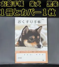 Item thumbnail for item 7cb03d8a-61db-4ea6-895a-08ae40488c73