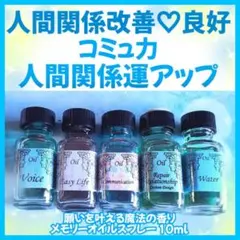夢を叶える❣️人生にポジティブな変化を❣️メモリーオイルスプレー