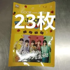 LOOKオリジナルACEesステッカー　23枚