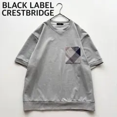 02081-3 ブラックレーベルクレストブリッジ　カットソー　チェック　M
