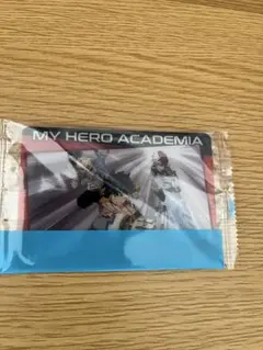 僕のヒーローアカデミア 緑谷出久　爆豪勝己　轟焦凍　カード