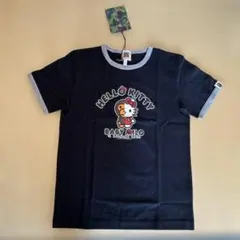 Item thumbnail for item 718d72f4-0c55-4694-a070-254f1b24f399