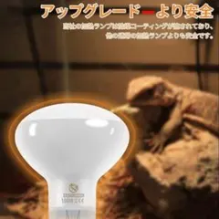 Item thumbnail for item af67dc08-5e4c-4ae6-892a-7a373ab34005