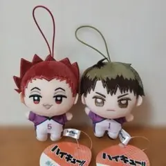 ハイキュー ぬいぷりけmini2 牛島若利 天童覚