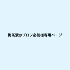 2026年最新】プロフ必読様の人気アイテム - メルカリ